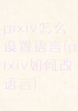 pixiv怎么设置语言(pixiv如何改语言)