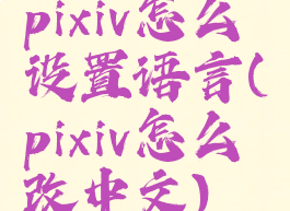 pixiv怎么设置语言(pixiv怎么改中文)
