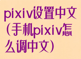 pixiv设置中文(手机pixiv怎么调中文)