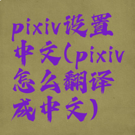 pixiv设置中文(pixiv怎么翻译成中文)