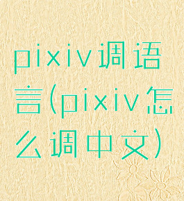 pixiv调语言(pixiv怎么调中文)