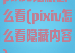 pixiv隐藏怎么看(pixiv怎么看隐藏内容)