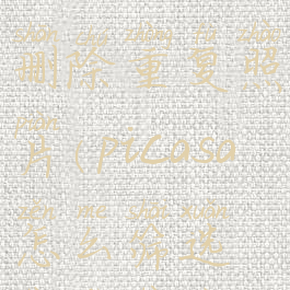picasa如何删除重复照片(picasa怎么筛选重复照片)