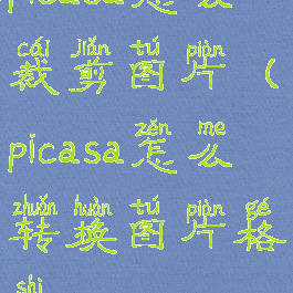 picasa怎么裁剪图片(picasa怎么转换图片格式)