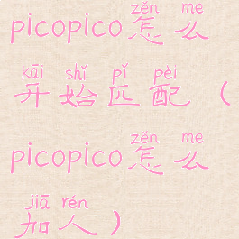picopico怎么开始匹配(picopico怎么加人)