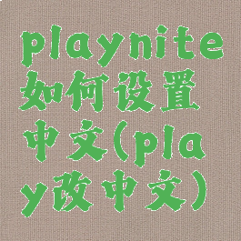 playnite如何设置中文(play改中文)