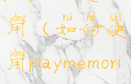 playnite怎么用(如何使用playmemories)
