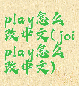 play怎么改中文(joiplay怎么改中文)