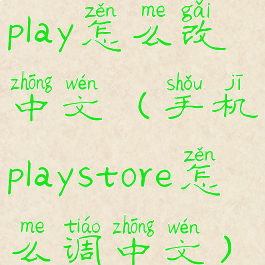 play怎么改中文(手机playstore怎么调中文)