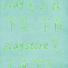 play怎么改中文(手机playstore怎么调中文)