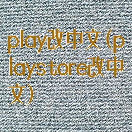 play改中文(playstore改中文)