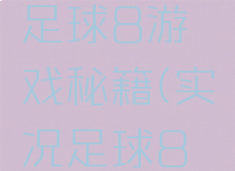 ps2实况足球8游戏秘籍(实况足球8秘籍大全)