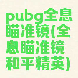 pubg全息瞄准镜(全息瞄准镜和平精英)