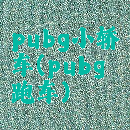 pubg小轿车(pubg跑车)