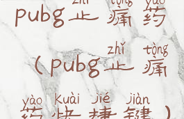 pubg止痛药(pubg止痛药快捷键)
