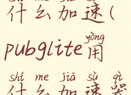pubglite用什么加速(pubglite用什么加速器免费)