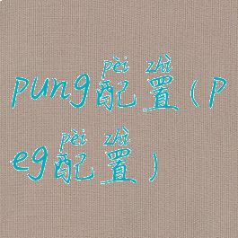 pung配置(peg配置)