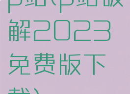 p站(p站破解2023免费版下载)