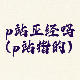 p站正经吗(p站指的)