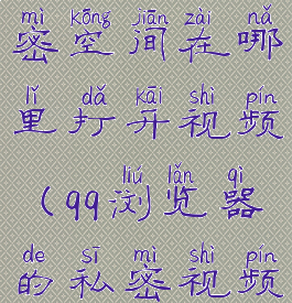 qq浏览器私密空间在哪里打开视频(qq浏览器的私密视频在哪里)