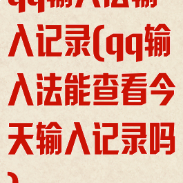 qq输入法输入记录(qq输入法能查看今天输入记录吗)