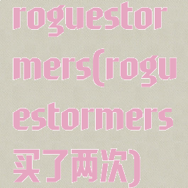 roguestormers(roguestormers买了两次)