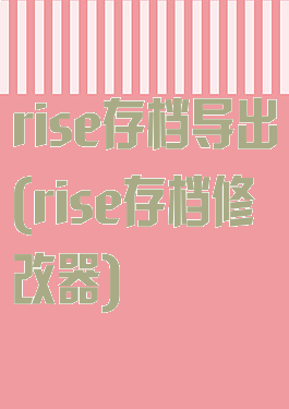rise存档导出(rise存档修改器)