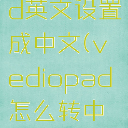 wavepad英文设置成中文(vediopad怎么转中文)