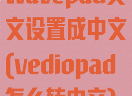 wavepad英文设置成中文(vediopad怎么转中文)