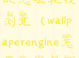 wallpaper壁纸怎么在线浏览(wallpaperengine怎么在线播放)