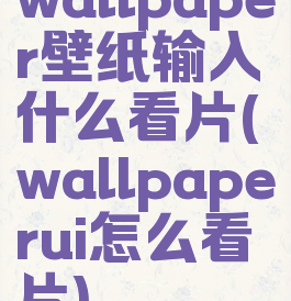 wallpaper壁纸输入什么看片(wallpaperui怎么看片)