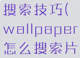 wallpaper搜索技巧(wallpaper怎么搜索片)
