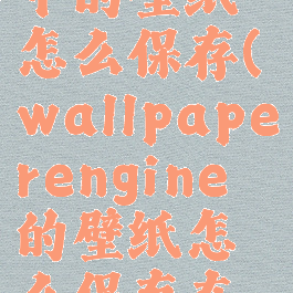 wallpaperengine中的壁纸怎么保存(wallpaperengine的壁纸怎么保存在手机相册里)