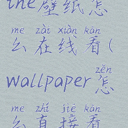 wallpaperengine壁纸怎么在线看(wallpaper怎么直接看视频)