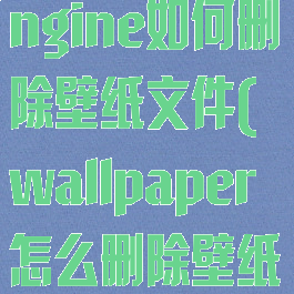 wallpaperengine如何删除壁纸文件(wallpaper怎么删除壁纸文件)