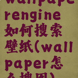 wallpaperengine如何搜索壁纸(wallpaper怎么搜图)