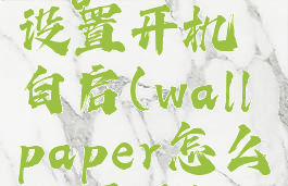 wallpaperengine如何设置开机自启(wallpaper怎么设置开机自动启动)