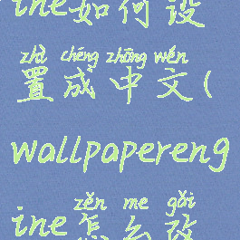 wallpaperengine如何设置成中文(wallpaperengine怎么改中文版)