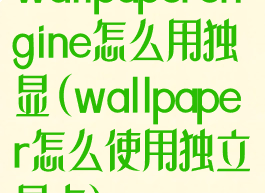 wallpaperengine怎么用独显(wallpaper怎么使用独立显卡)