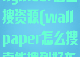 wallpaperengineer怎么搜资源(wallpaper怎么搜索能搜到好东西)