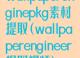 wallpaperenginepkg素材提取(wallpaperengineer提取视频)