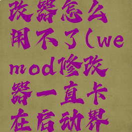 wemod修改器怎么用不了(wemod修改器一直卡在启动界面)