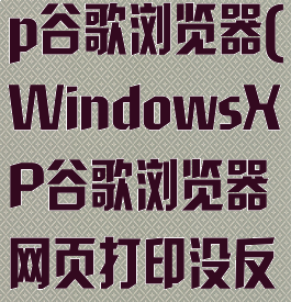 windowsxp谷歌浏览器(WindowsXP谷歌浏览器网页打印没反应)
