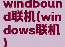 windbound联机(windows联机)