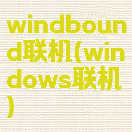 windbound联机(windows联机)