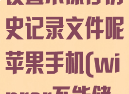 winrar怎么设置不保存历史记录文件呢苹果手机(winrar不能储存到d盘吗)