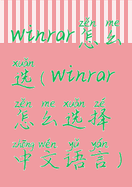 winrar怎么选(winrar怎么选择中文语言)