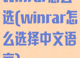 winrar怎么选(winrar怎么选择中文语言)