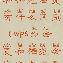 wps的会员和稻壳会员有什么区别(wps的会员和稻壳会员有什么区别吗)
