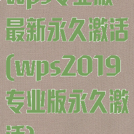 wps专业版最新永久激活(wps2019专业版永久激活)
